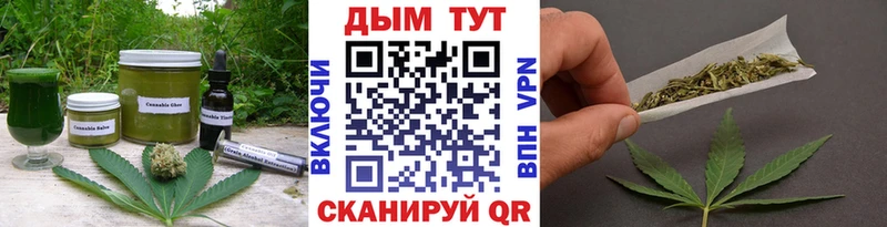 Canna-Cookies конопля  купить наркотики сайты  Владикавказ 