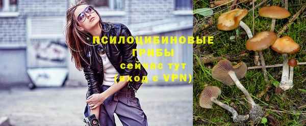 эйфоретик Михайлов