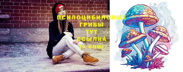 эйфоретик Михайлов