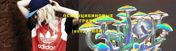 таблы Михайловск