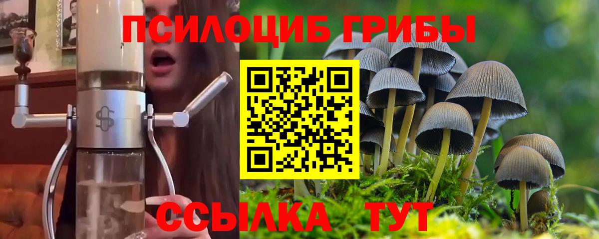 Владикавказ  наркотики  Псилоцибиновые грибы прущие грибы  Вход с VPN  Псилоцибиновые грибы прущие грибы 