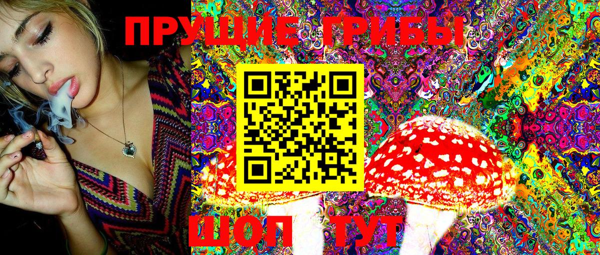 Псилоцибиновые грибы ЛСД Владикавказ