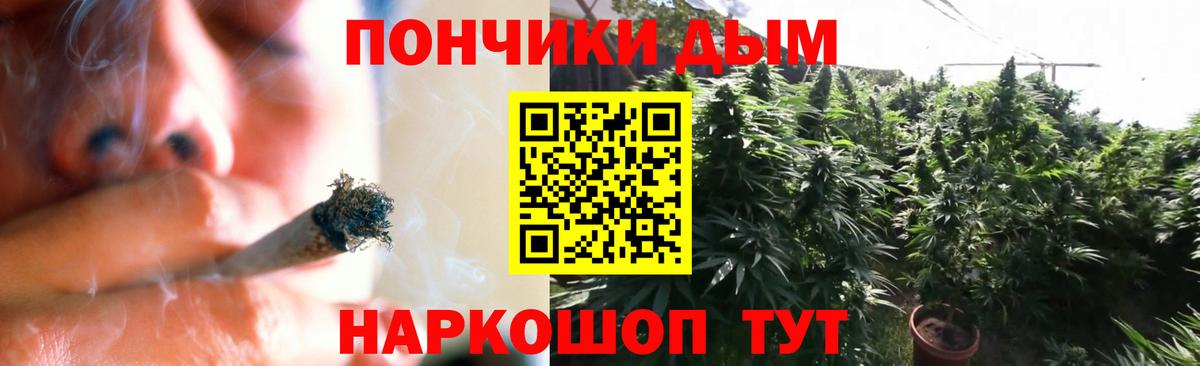 Конопля сатива  Каннабис VHQ  Вход с VPN  Каннабис Amnesia  Владикавказ 